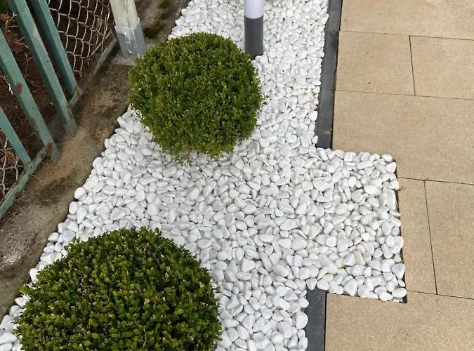 Puro - Adults Only Miedzyzdroje